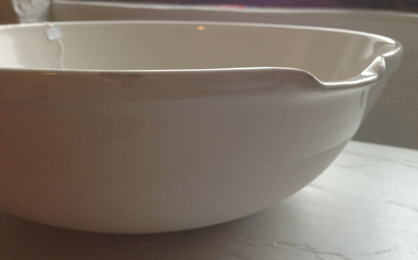 Vintage Coors Labware Bowl